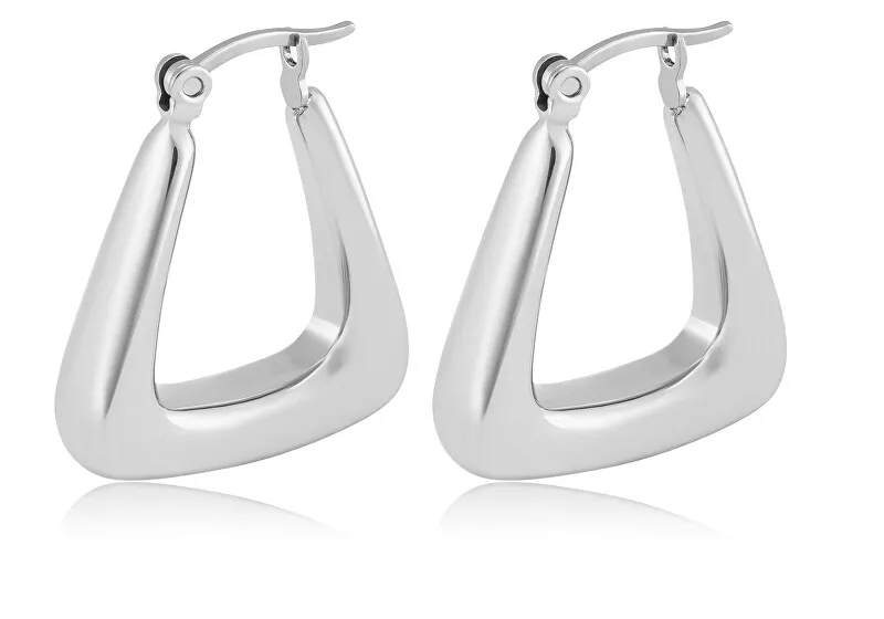 Troli Eleganti orecchini in acciaio VAAJDE201325G donna