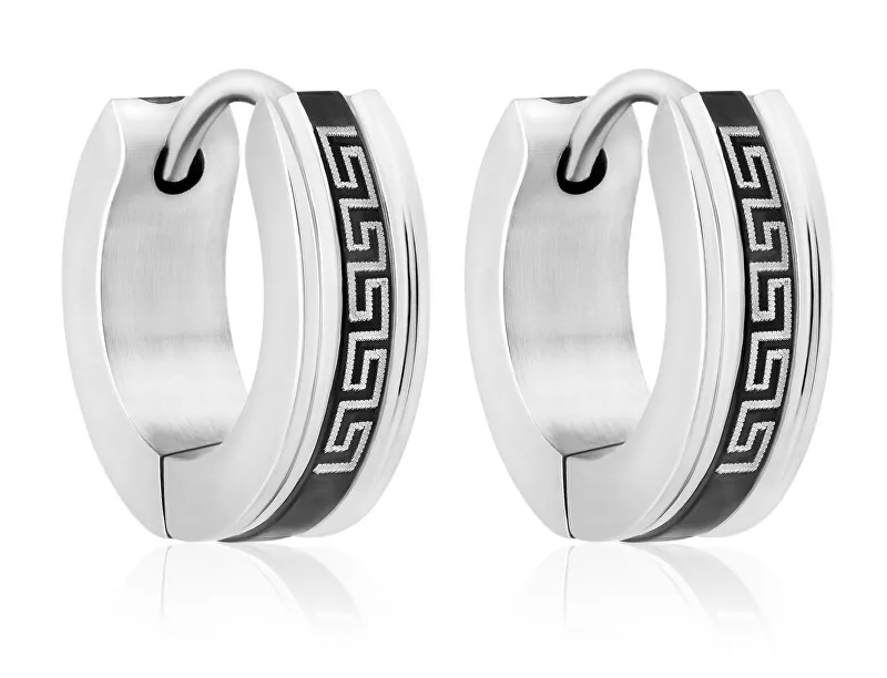 Troli Eleganti orecchini ad anello in acciaio VSE004S-PET donna