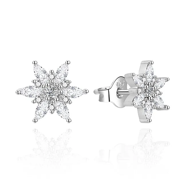Agato Orecchini in argento con fiocchi di neve AGT-E003PW donna