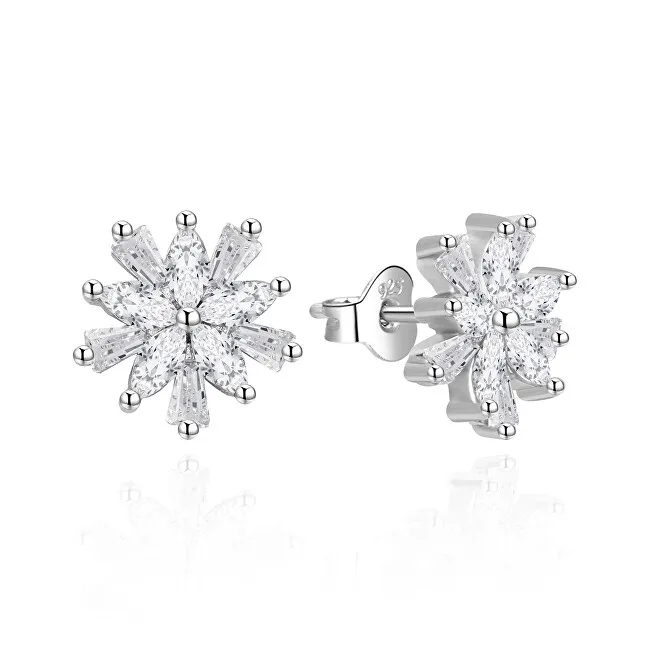 Agato Orecchini in argento Fiocchi di neve con zirconi AGT-E009PW donna