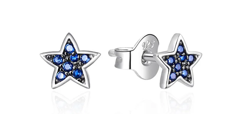 Agato Orecchini a stella in argento con zirconi AGT-E017PBL donna