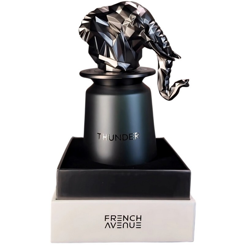 French Avenue Thunder eau de parfum 100ml uomo