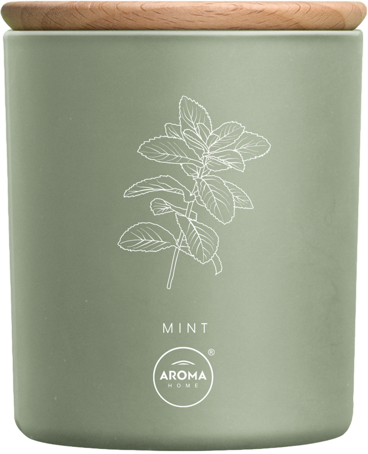 Candela profumata alla menta Aroma Home 150 g
