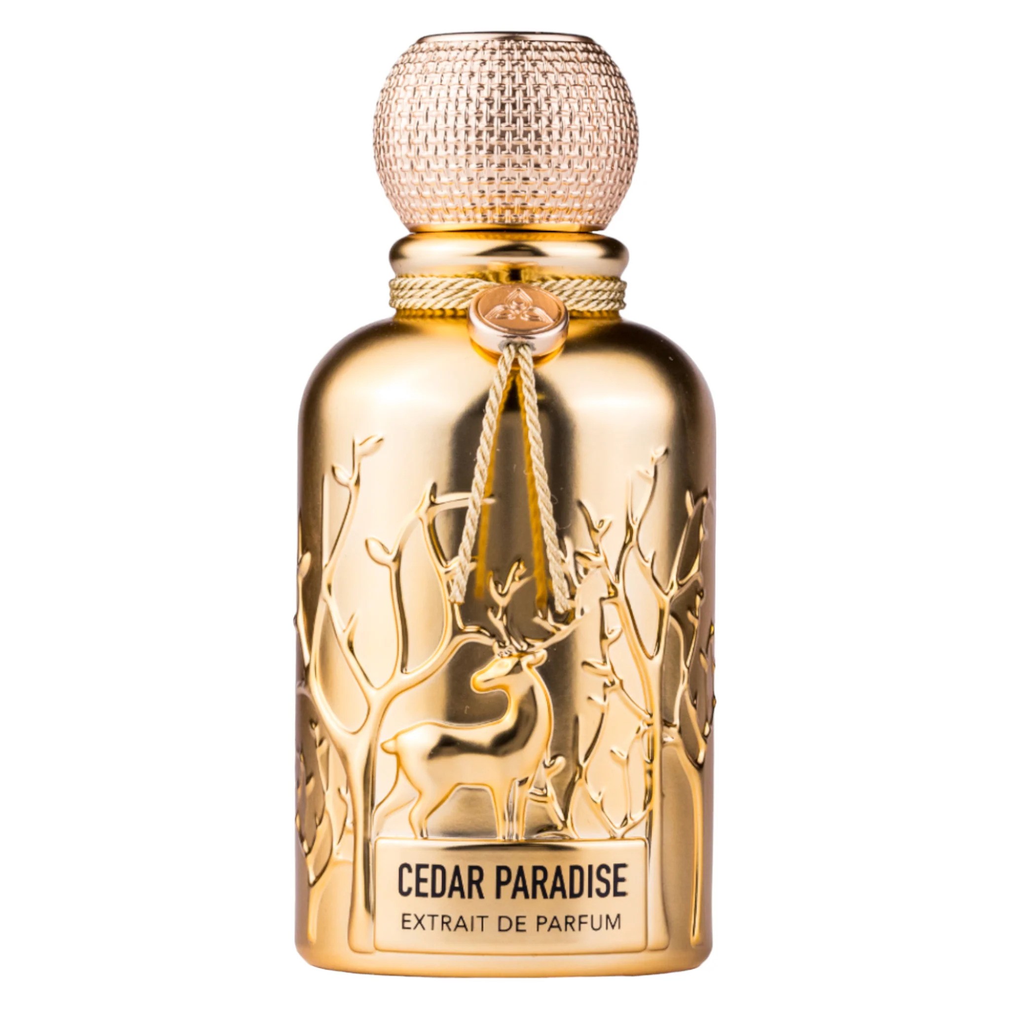 Auraa Desire Cedar Paradise Extrait De Parfum uomo 100ml