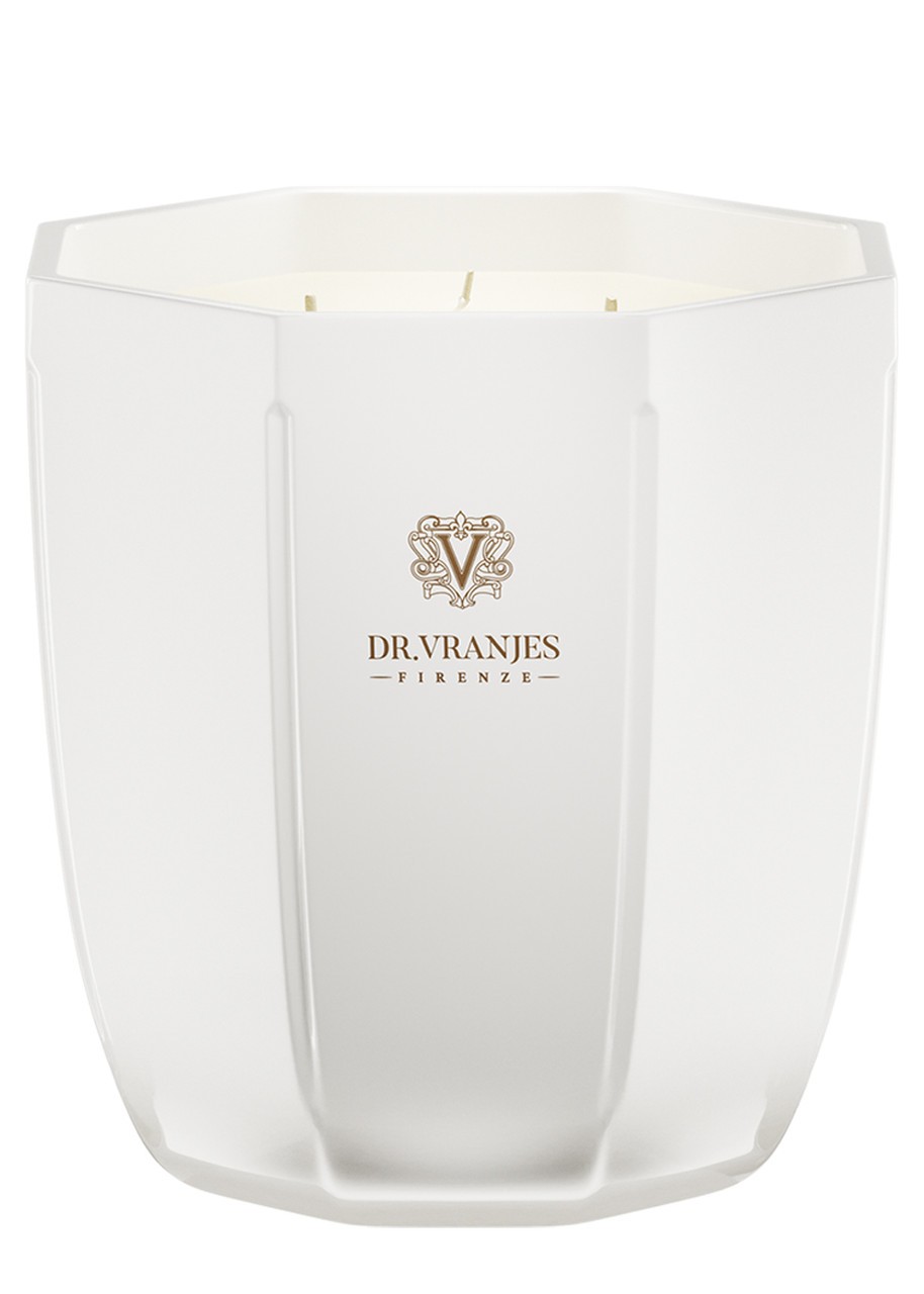 Candela profumata allo zenzero e lime Dr. Vranjes Firenze 500 g