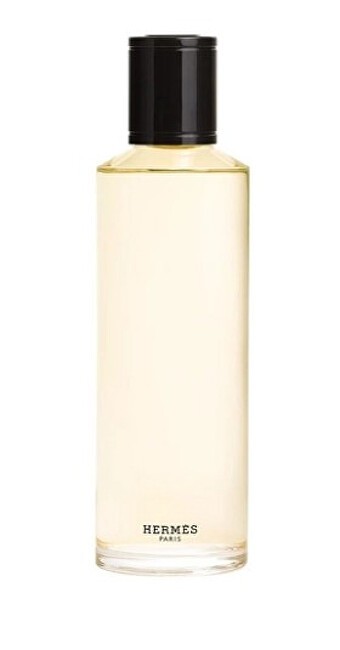 Hermès TERRE D'HERMÈS PARFUM INTENSE eau de parfum ricarica 200ml uomo