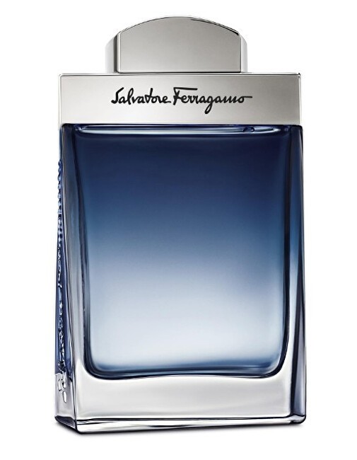 Salvatore Ferragamo Subtil pour Homme Eau De Toilette 50ml uomo