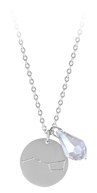 Troli Collana in acciaio con leone e zircone catena, 2 ciondoli donna