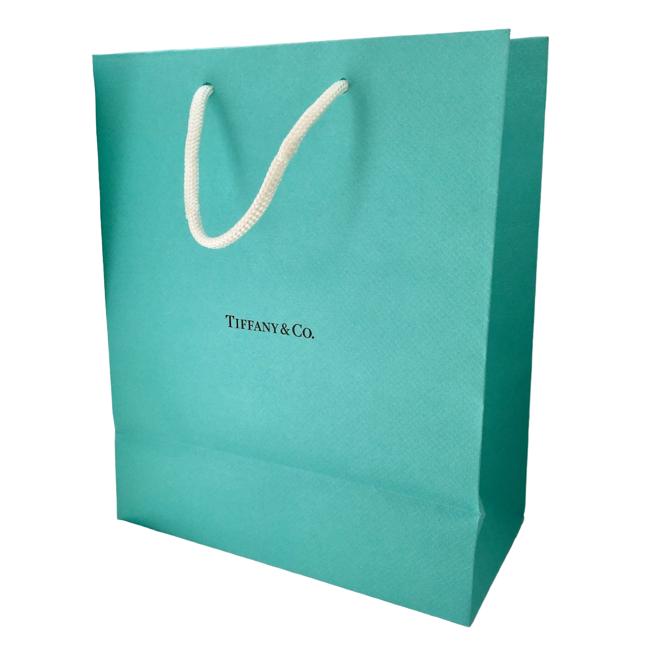 Tiffany Co Tiffany Co Large Shopping Bag Paper Green donna