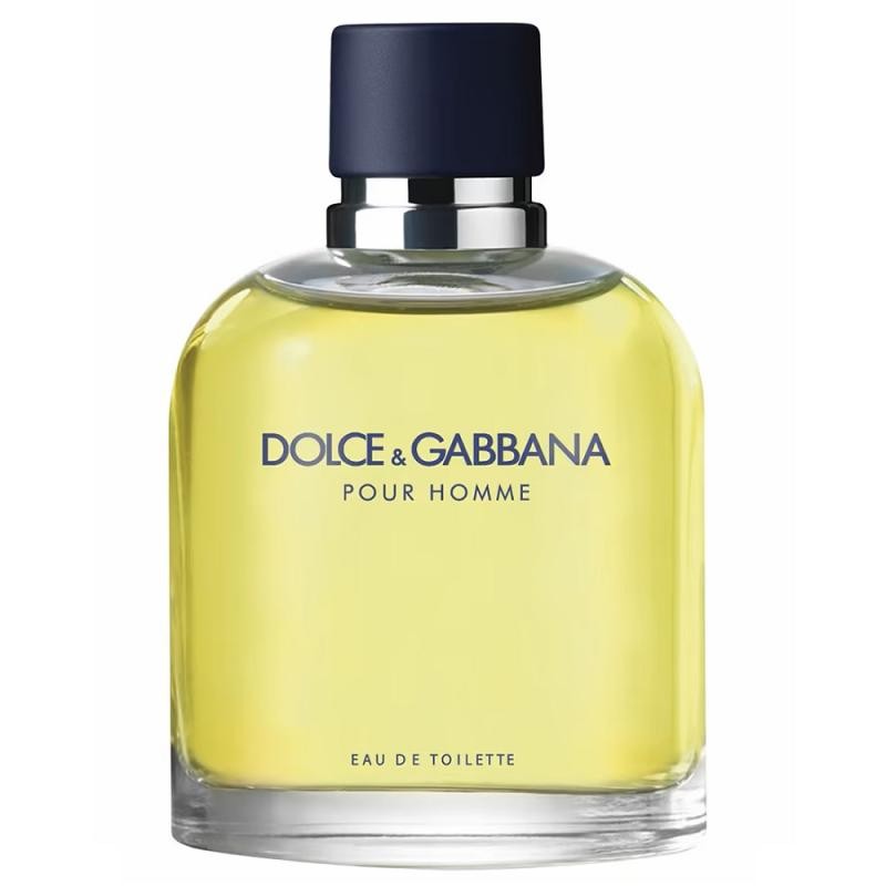 Dolce and Gabbana DOLCE and GABBANA POUR HOMME eau de toilette spray 200ml uomo