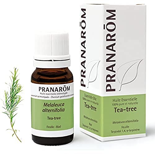Pranarm ESSENTIAL OIL tea tree 10ml unisex
