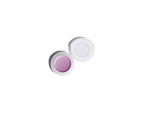 Shiseido Paperlight Cream Eyeshadow Vi304 Shobu Purple 6 g donna